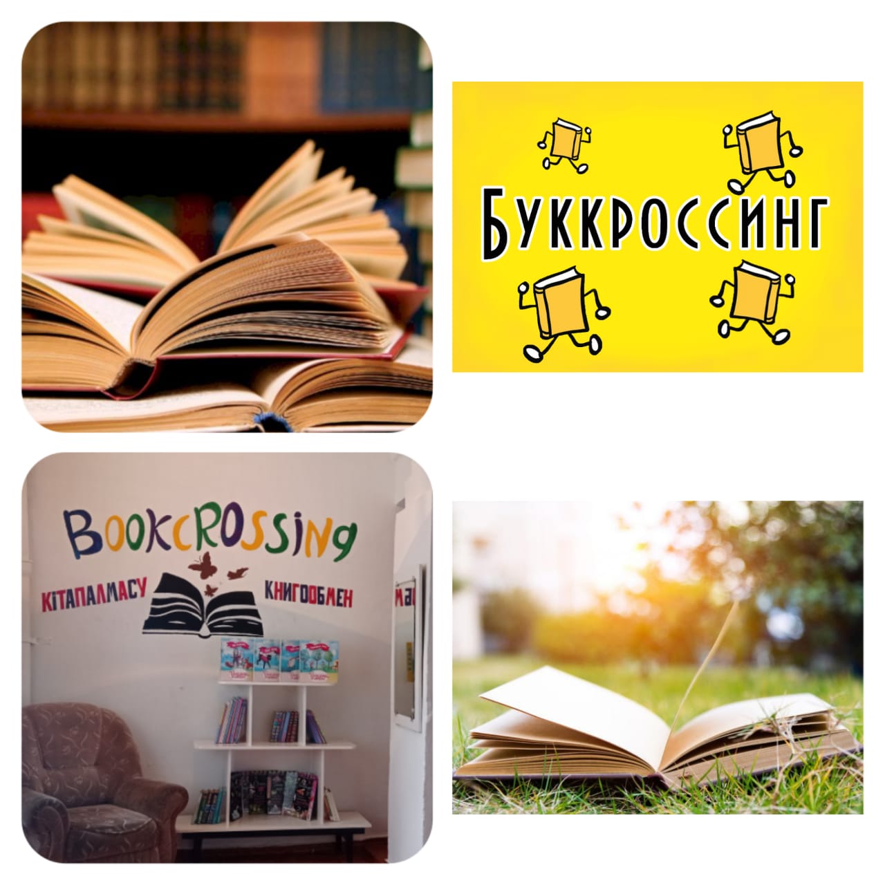 буккроссинг